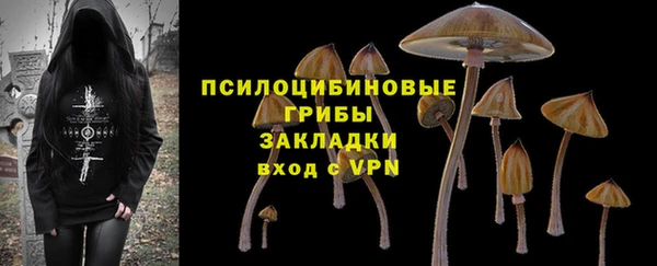 apvp Абаза
