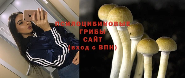ПСИЛОЦИБИНОВЫЕ ГРИБЫ Абдулино