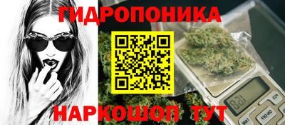 гидра Лесосибирск